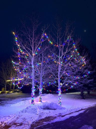 Droopy Loops Multi Color