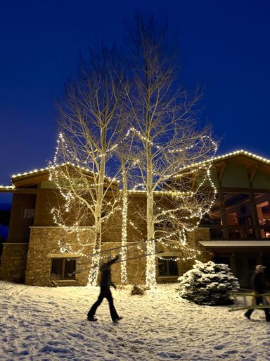 Droopy Loops Warm White